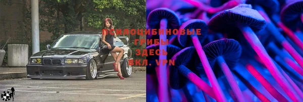 бошки Алзамай
