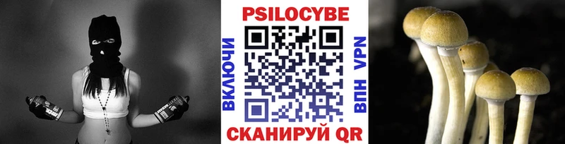 Галлюциногенные грибы Cubensis  Брюховецкая 