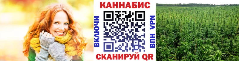 Шишки марихуана OG Kush  где продают   Брюховецкая 